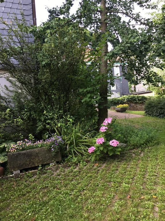Ferienwohnung In Remscheid-Ehringhausen Eksteriør billede